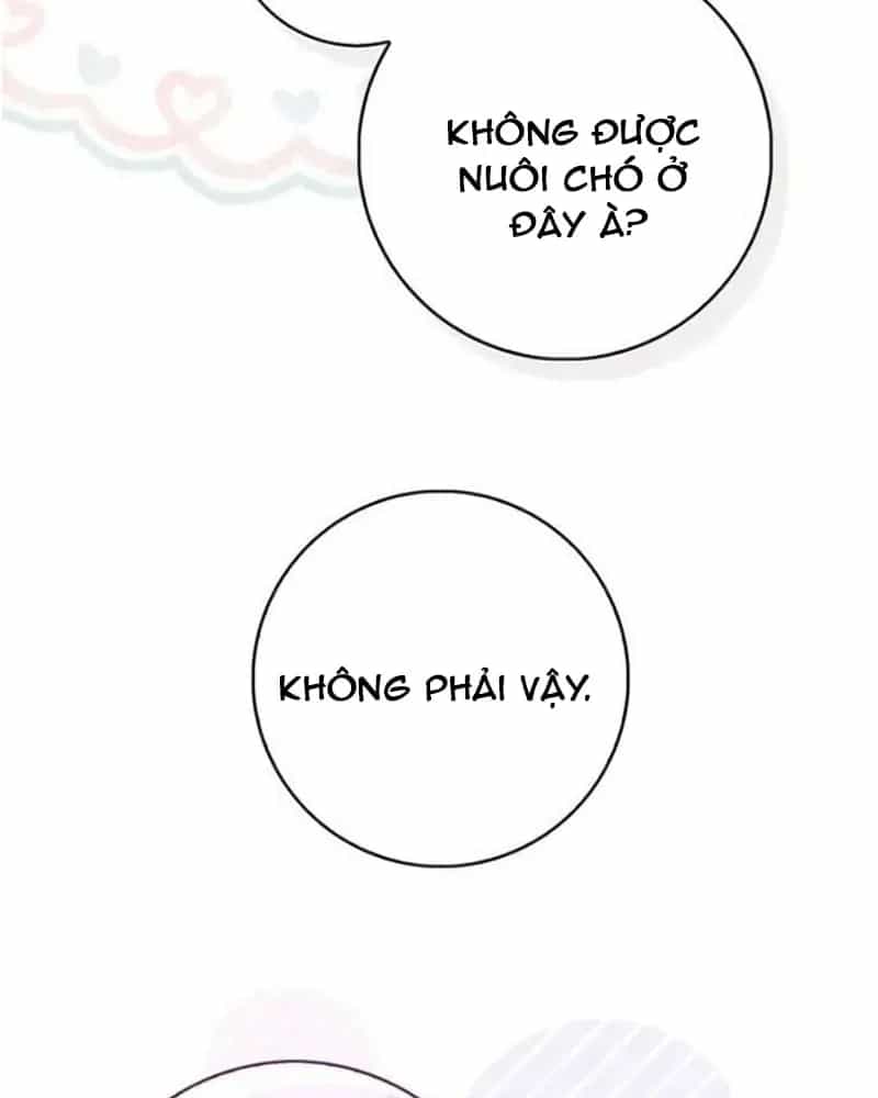 Nàng Công Chúa Tiên Tri - Chương 145 - ảnh 34
