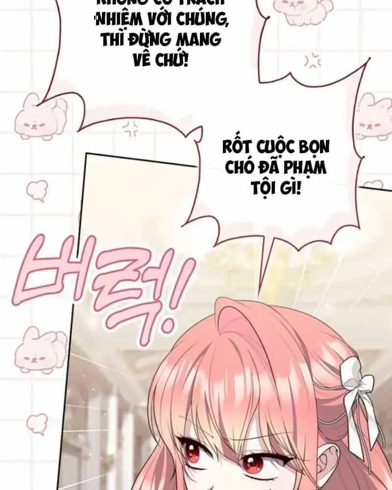 Nàng Công Chúa Tiên Tri - Chương 146 - ảnh 5