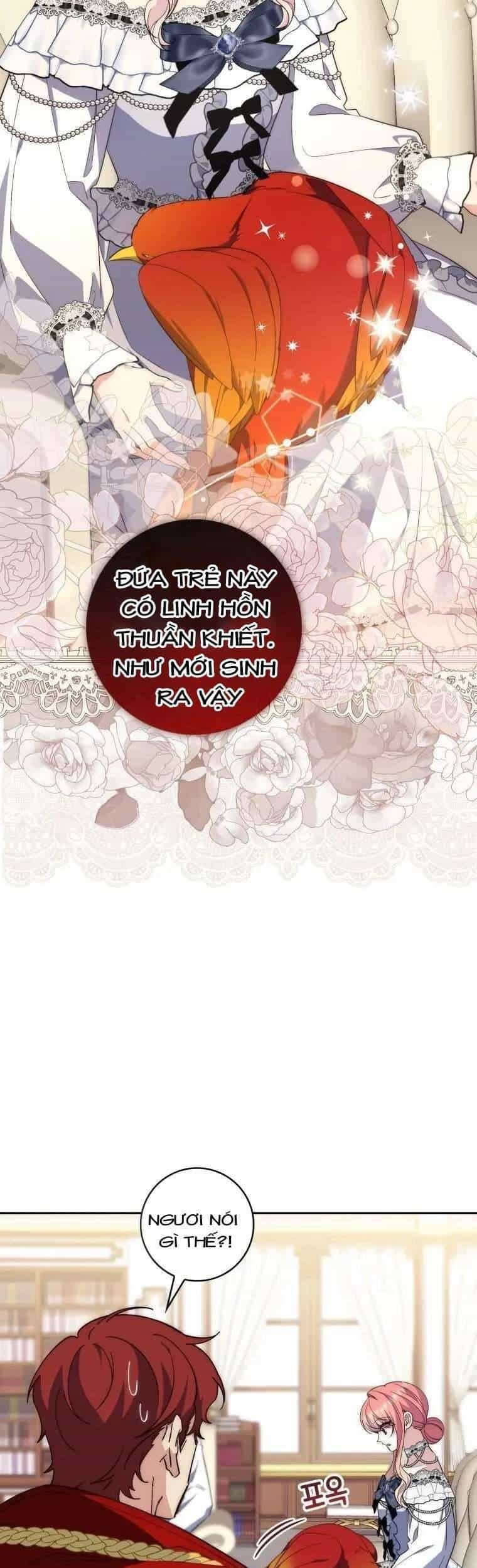Nàng Công Chúa Tiên Tri - Chương 15 - ảnh 25