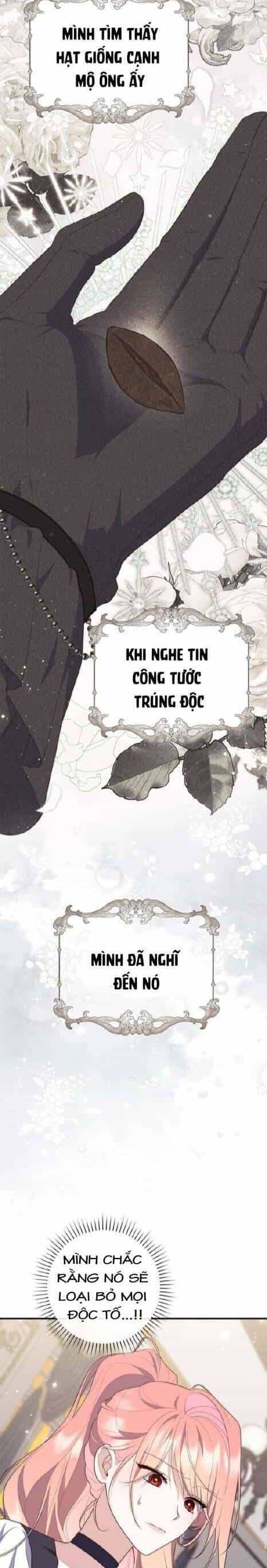 Nàng Công Chúa Tiên Tri - Chương 76 - ảnh 17