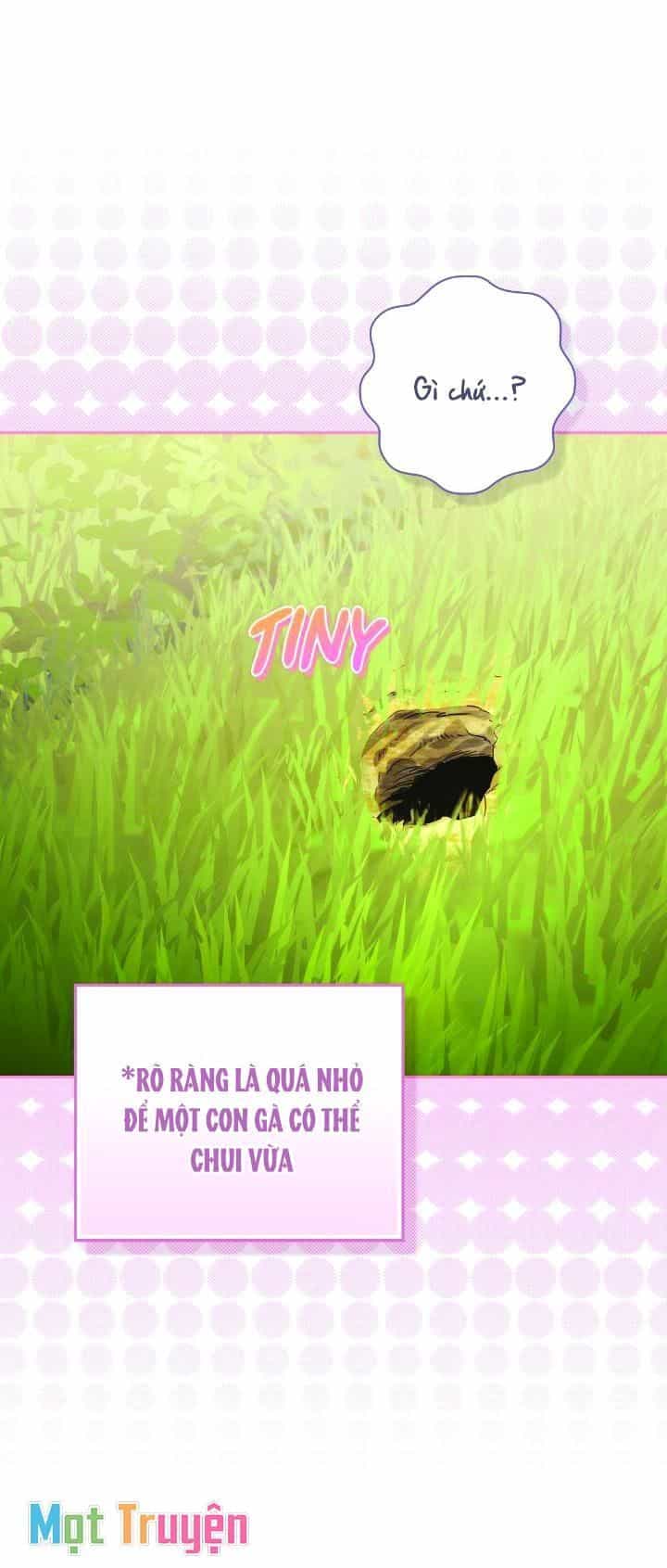Nàng Công Chúa Trong Chuồng Gà - Chương 2 - ảnh 14