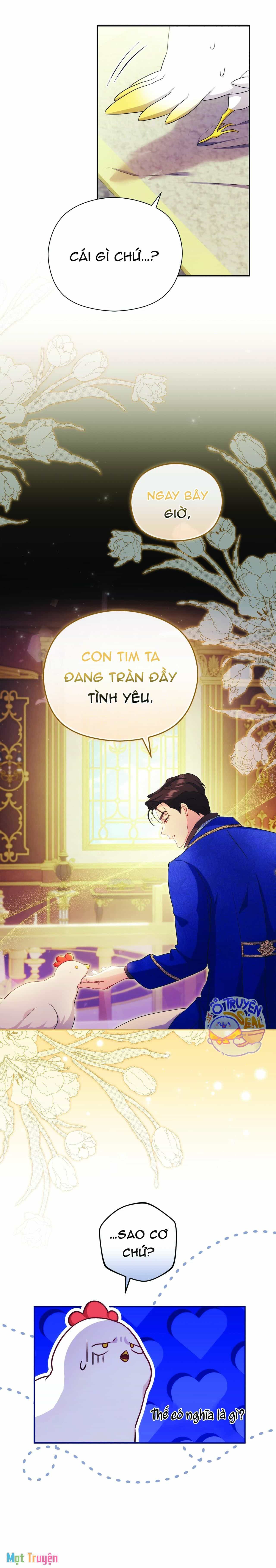 Nàng Công Chúa Trong Chuồng Gà - Chương 7 - ảnh 17