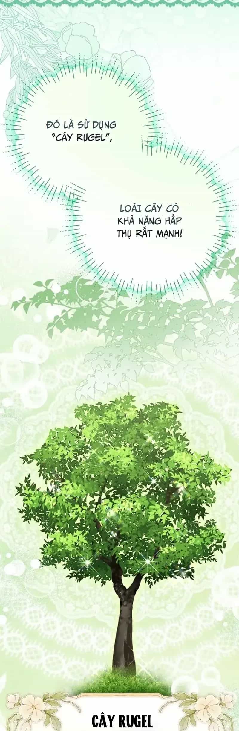 Nàng Dâu Nuôi Muốn Đứt Tình Đoạn Nghĩa - Chương 100 - ảnh 19