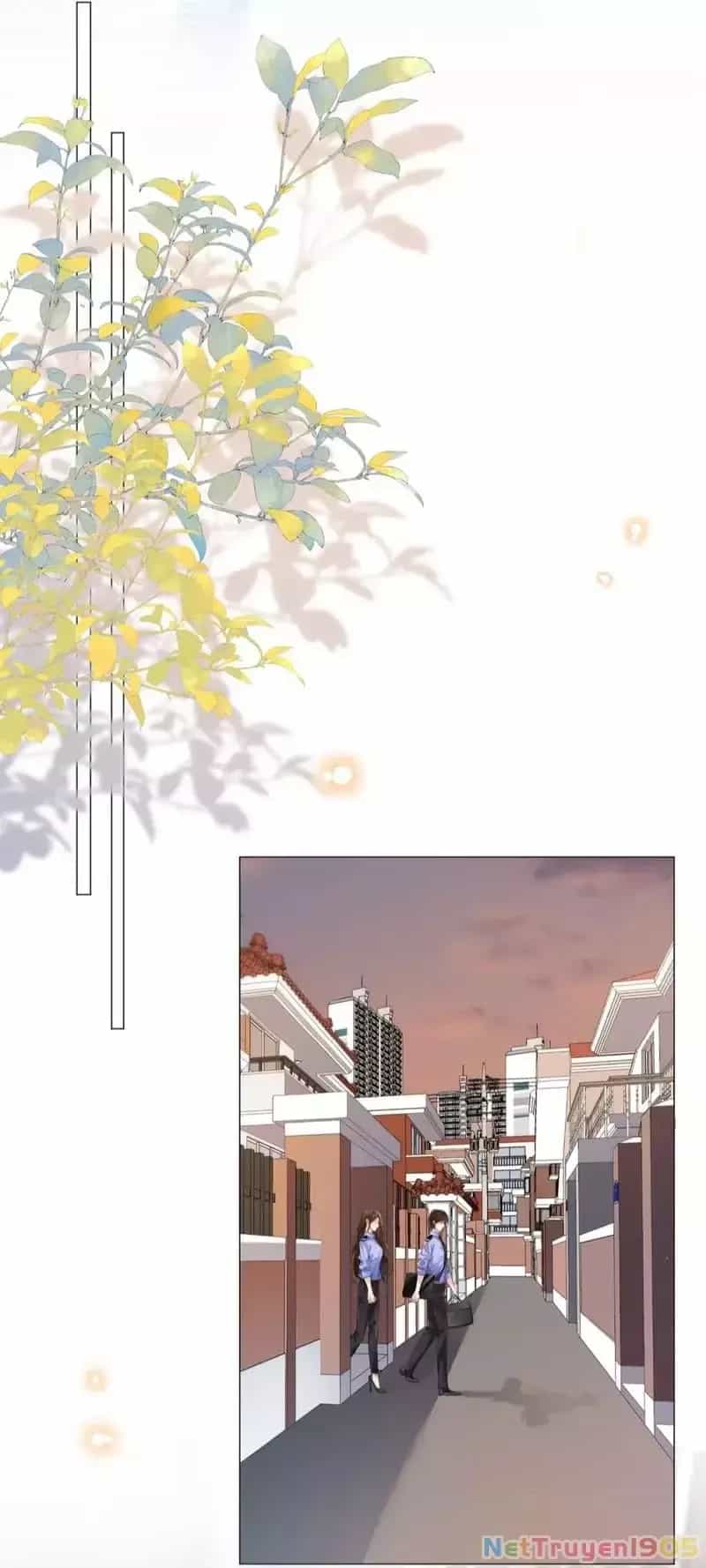 Nàng Pháp Y Thân Yêu Của Tôi - Chương 89 - ảnh 23