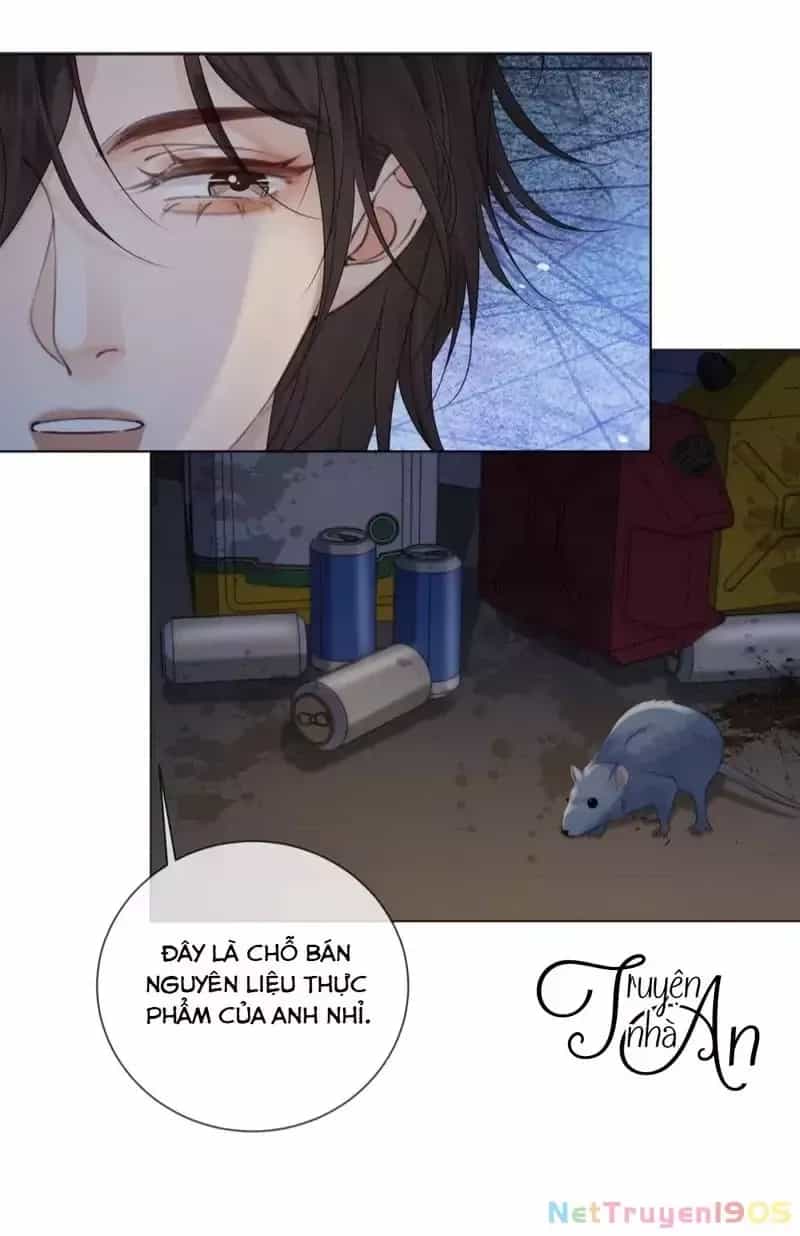 Nàng Pháp Y Thân Yêu Của Tôi - Chương 96 - ảnh 33