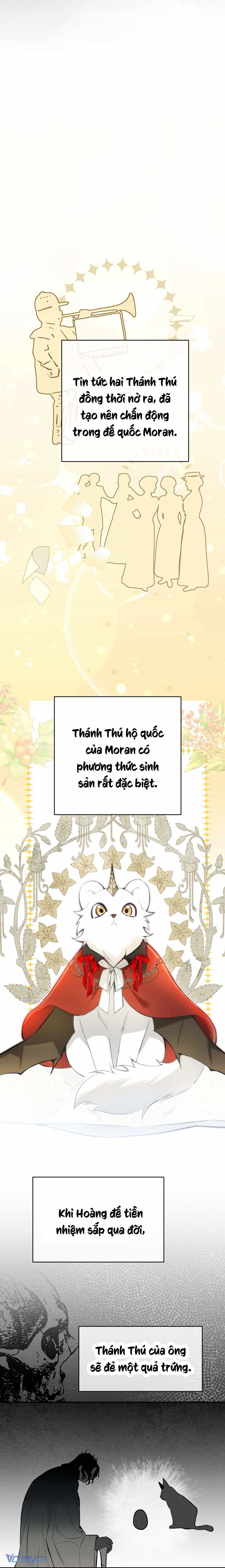 Nàng Sẽ Thuần Phục Những Anh Hùng - Chương 8 - ảnh 11