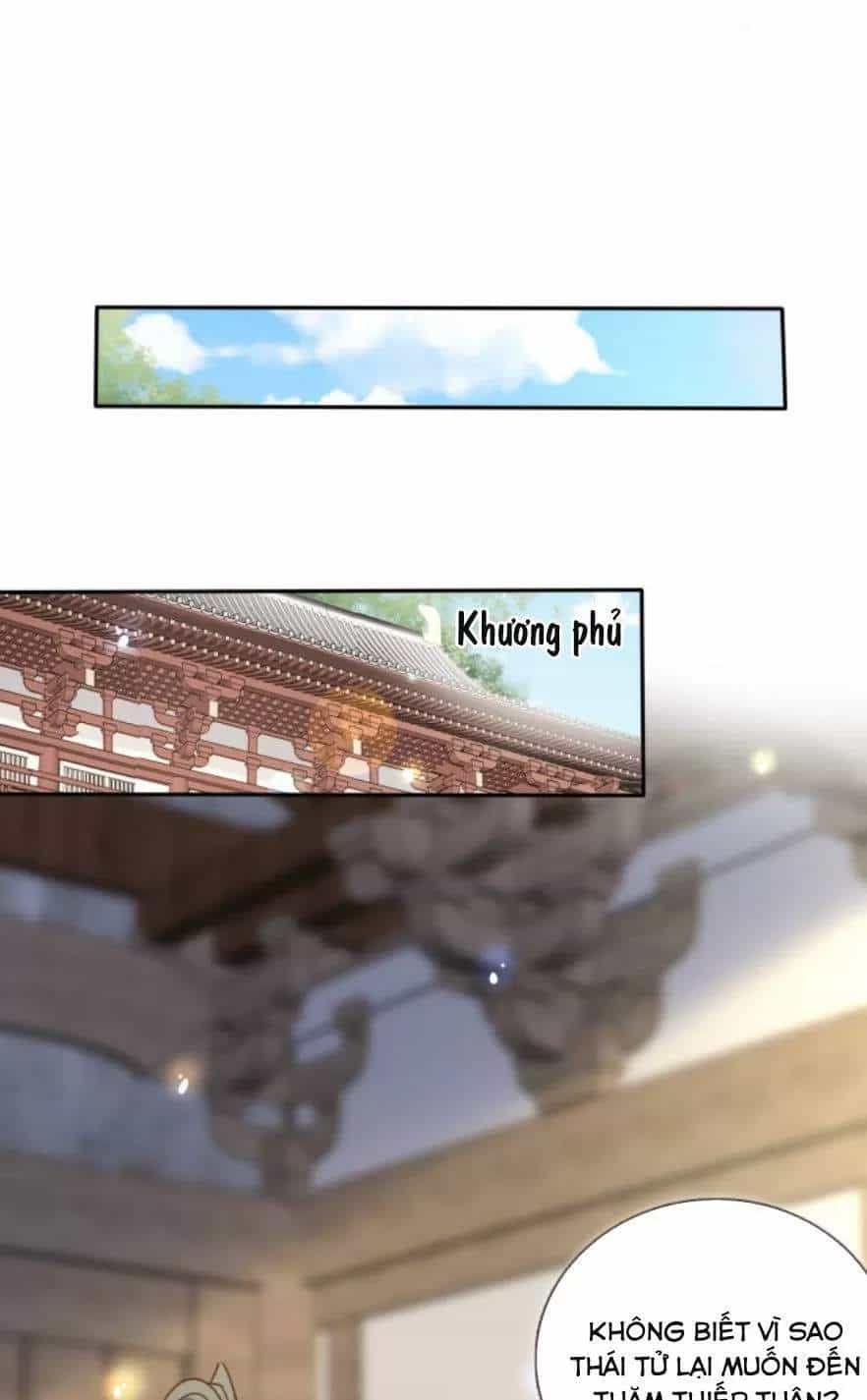 Nàng Trở Thành Bạch Nguyệt Quang Của Vương Gia Bệnh Kiều - Chương 106 - ảnh 17