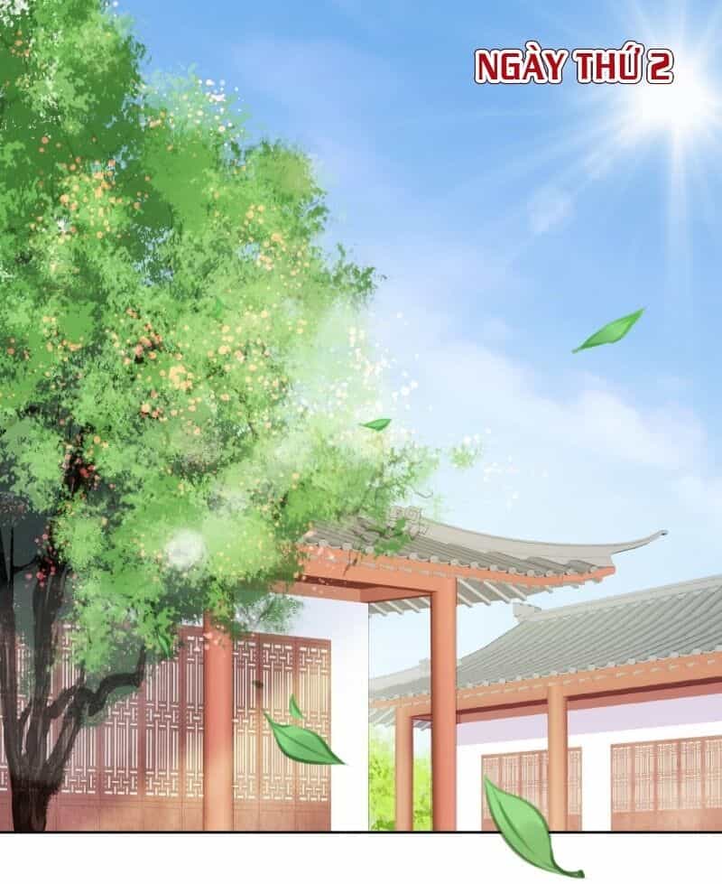 Nàng Trở Thành Bạch Nguyệt Quang Của Vương Gia Bệnh Kiều - Chương 10 - ảnh 2