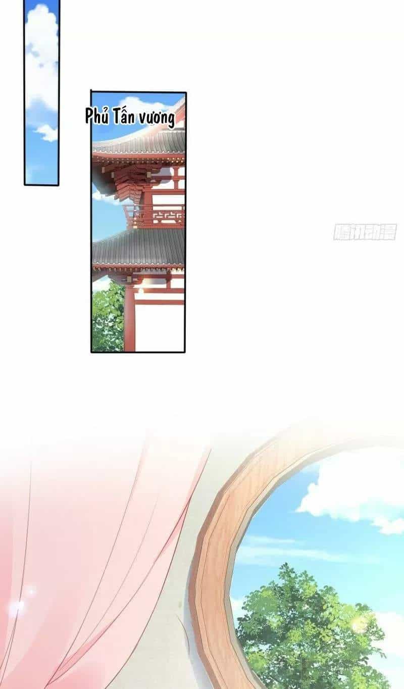 Nàng Trở Thành Bạch Nguyệt Quang Của Vương Gia Bệnh Kiều - Chương 114 - ảnh 11