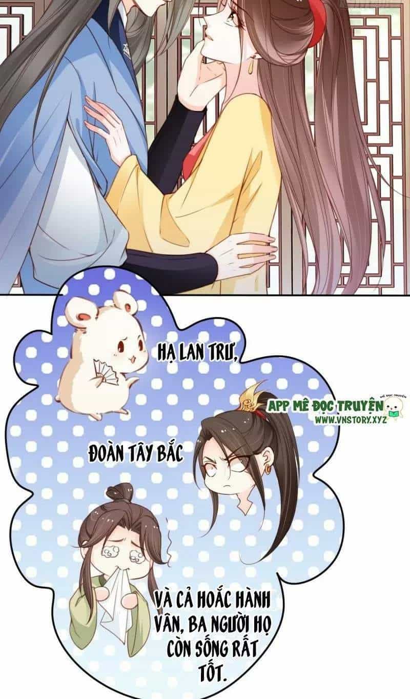 Nàng Trở Thành Bạch Nguyệt Quang Của Vương Gia Bệnh Kiều - Chương 114 - ảnh 4