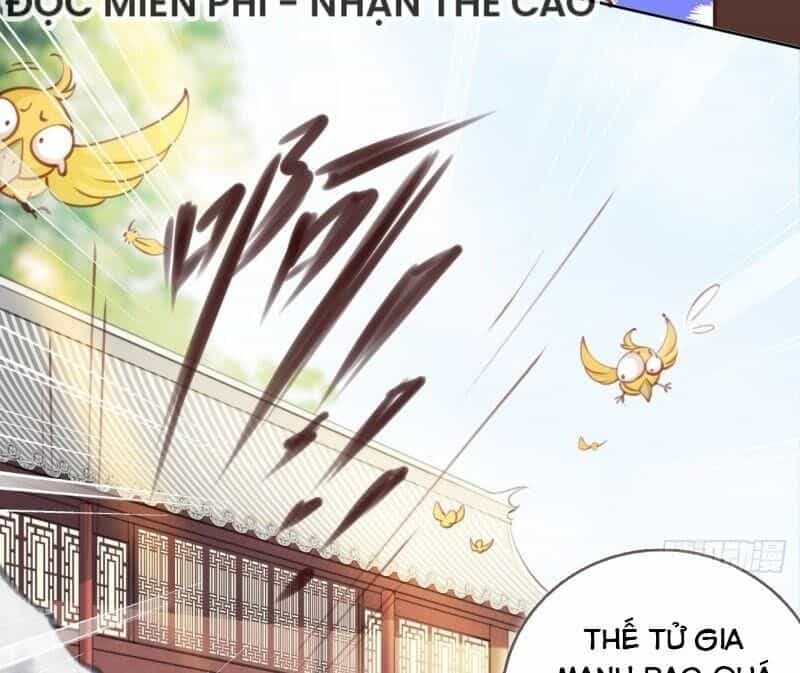 Nàng Trở Thành Bạch Nguyệt Quang Của Vương Gia Bệnh Kiều - Chương 12 - ảnh 57