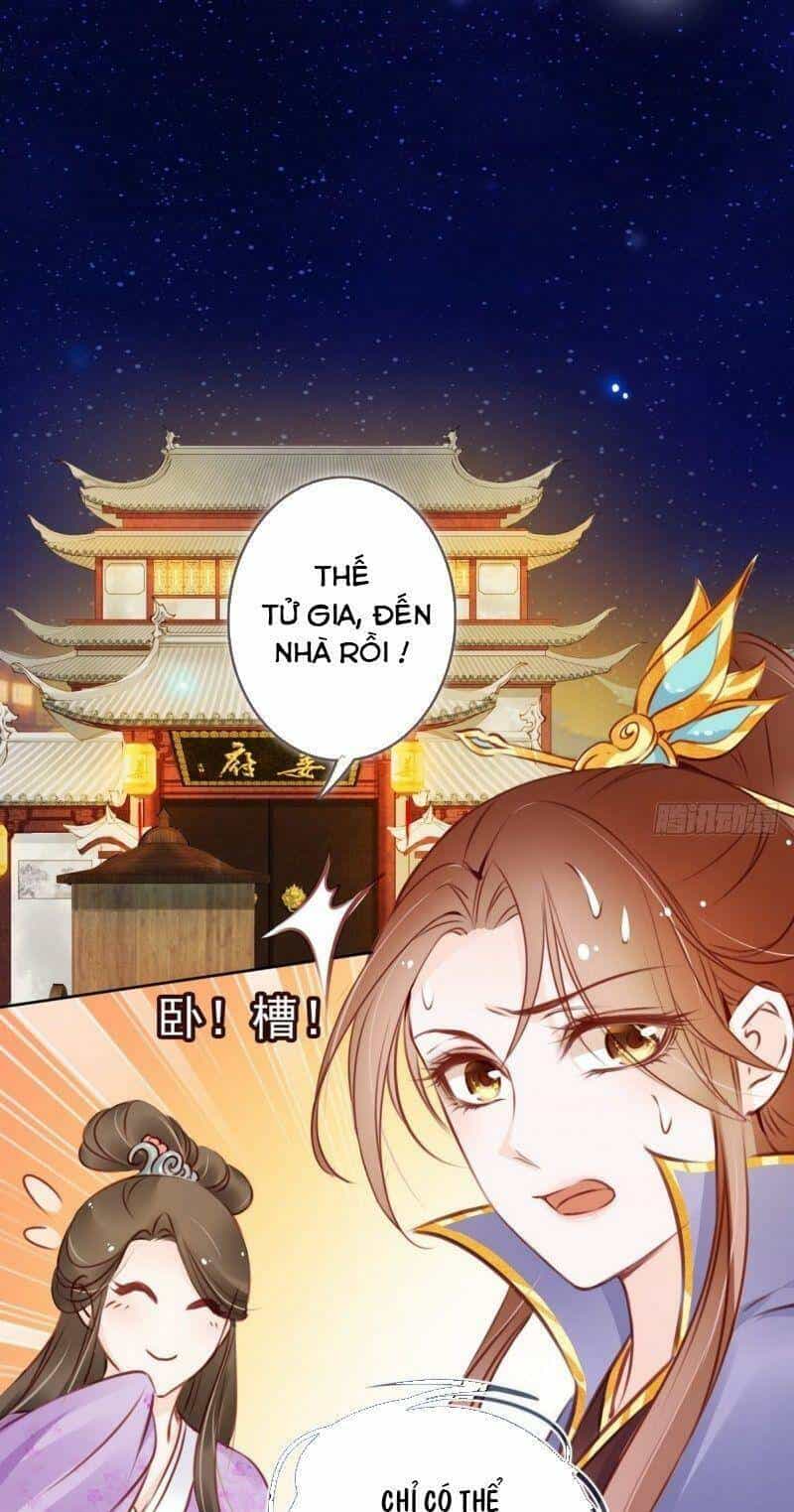 Nàng Trở Thành Bạch Nguyệt Quang Của Vương Gia Bệnh Kiều - Chương 16 - ảnh 27