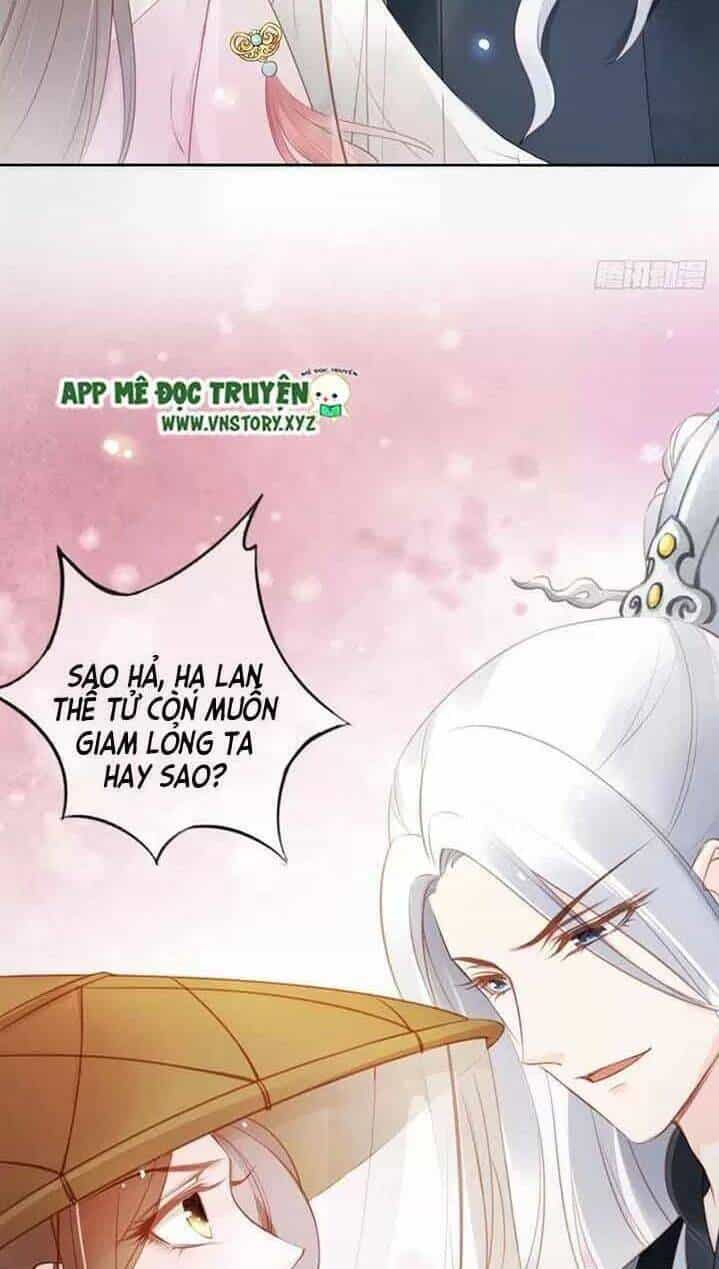 Nàng Trở Thành Bạch Nguyệt Quang Của Vương Gia Bệnh Kiều - Chương 49 - ảnh 32