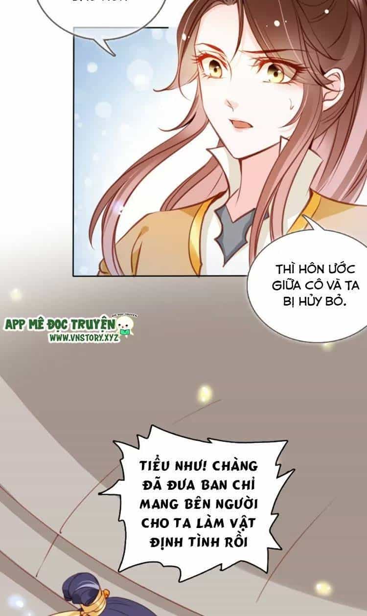 Nàng Trở Thành Bạch Nguyệt Quang Của Vương Gia Bệnh Kiều - Chương 84 - ảnh 12