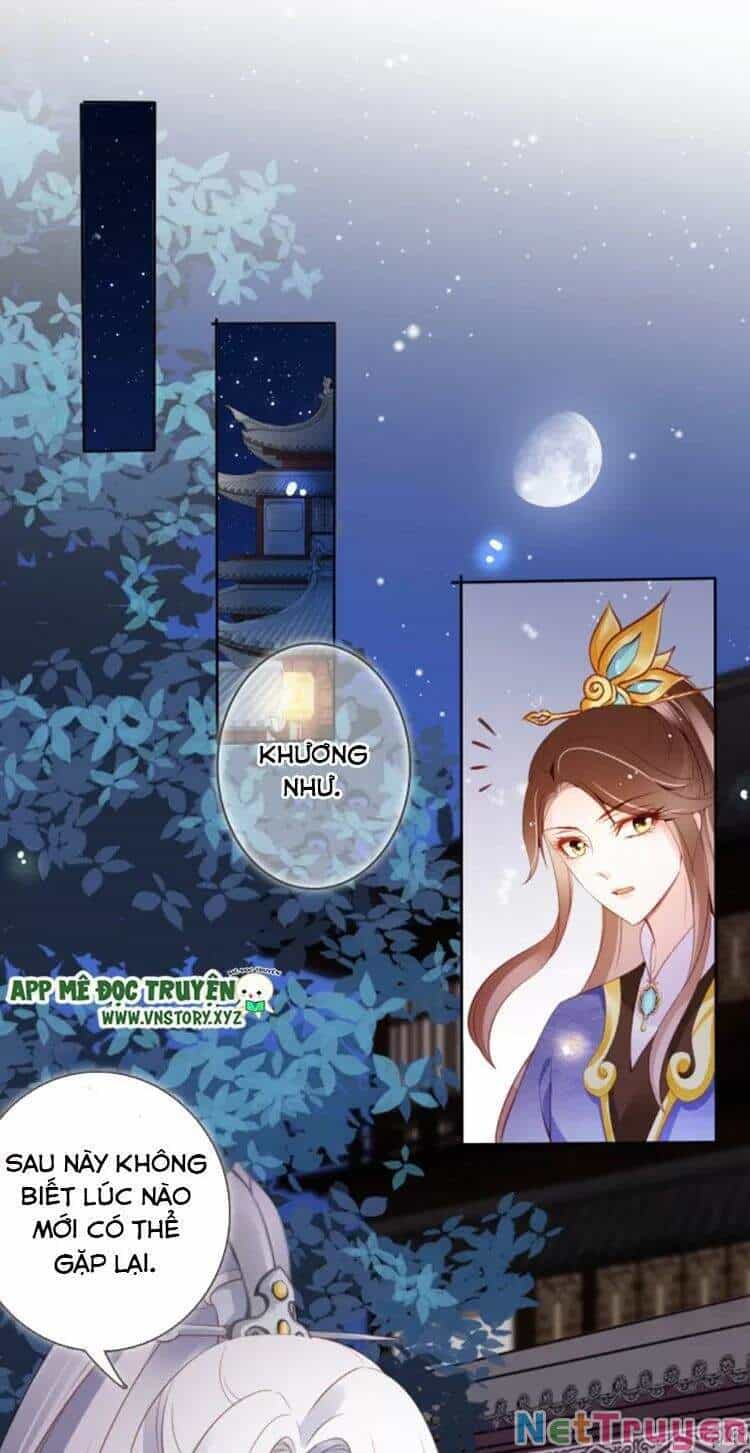 Nàng Trở Thành Bạch Nguyệt Quang Của Vương Gia Bệnh Kiều - Chương 86 - ảnh 25