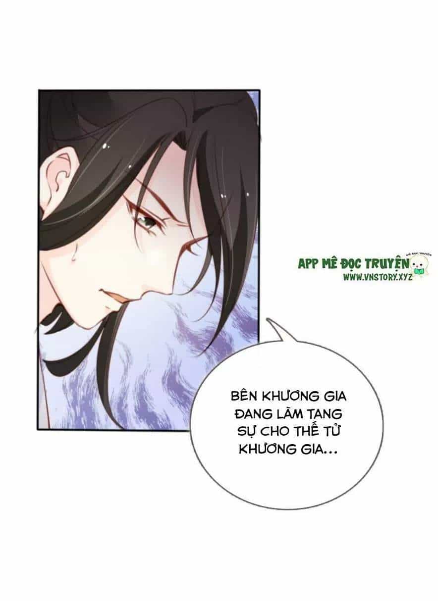 Nàng Trở Thành Bạch Nguyệt Quang Của Vương Gia Bệnh Kiều - Chương 97 - ảnh 43