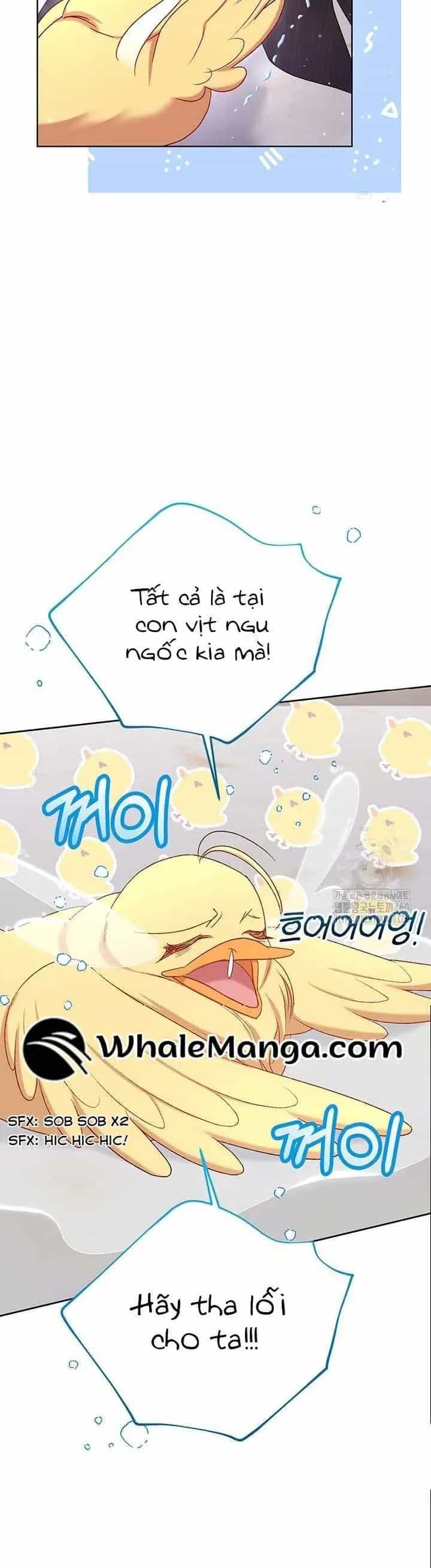 Nàng Vịt Chờ Ngày Hủy Hôn - Chương 15 - ảnh 8