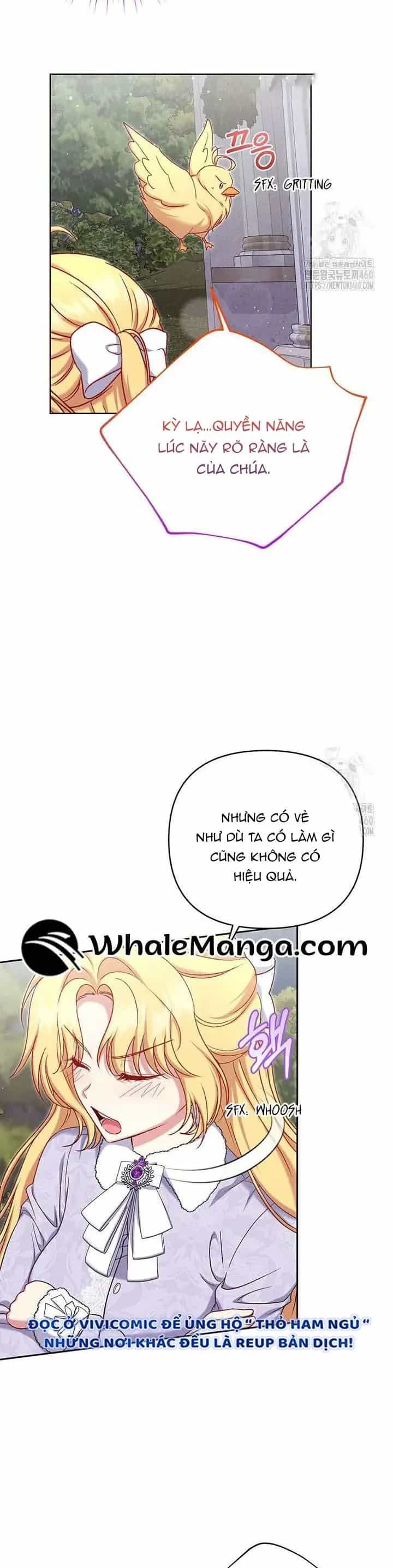 Nàng Vịt Chờ Ngày Hủy Hôn - Chương 16 - ảnh 23