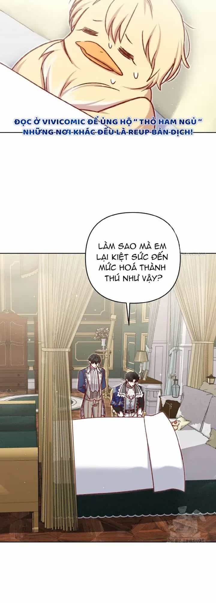 Nàng Vịt Chờ Ngày Hủy Hôn - Chương 34 - ảnh 14