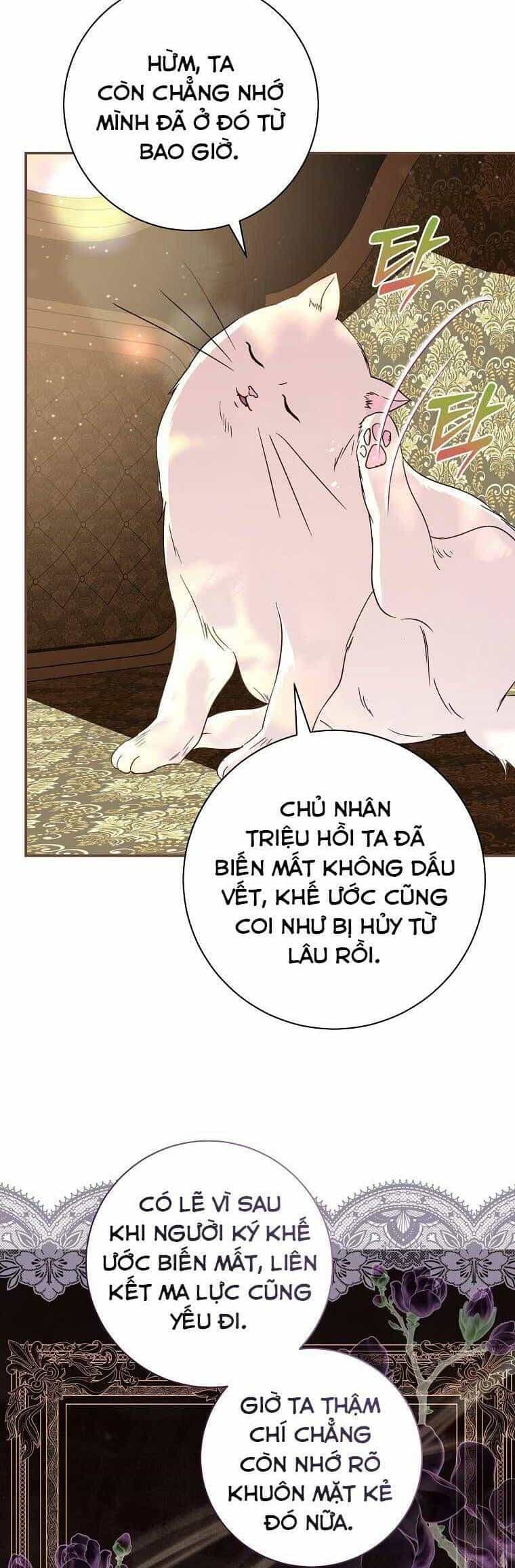 Này Boss Phản Diện, Tôi Có Thể Làm Mọi Thứ Trừ Cưới Ngài - Chương 10 - ảnh 5