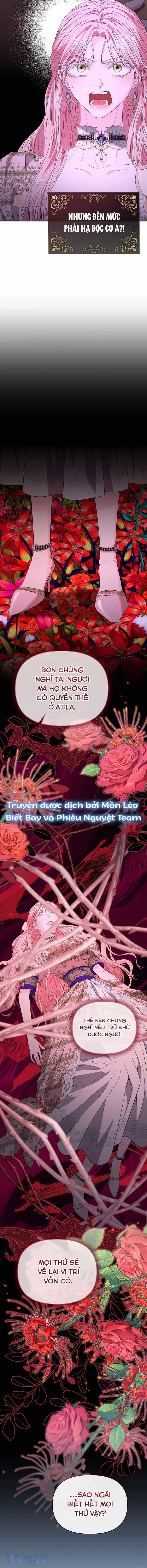 Này Người Chồng Phản Diện, Ngài Ám Ảnh Sai Người Rồi - Chương 65 - ảnh 14