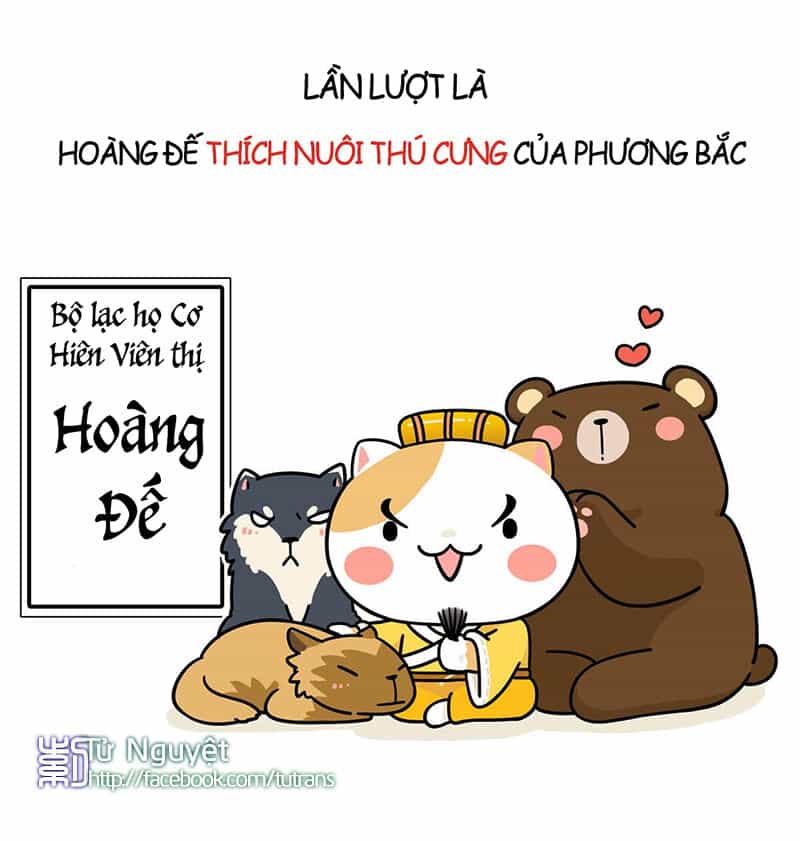 Nếu Lịch Sử Là Một Bầy Mèo - Chương 1 - ảnh 13