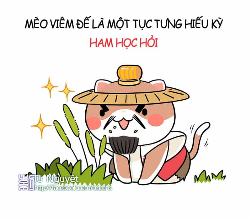 Nếu Lịch Sử Là Một Bầy Mèo - Chương 1 - ảnh 16