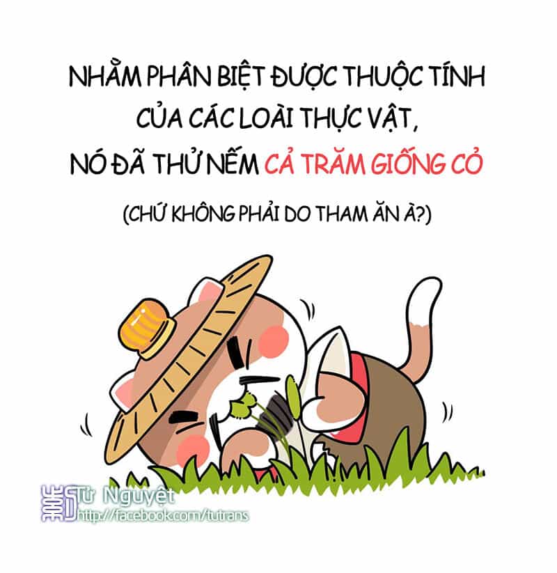 Nếu Lịch Sử Là Một Bầy Mèo - Chương 1 - ảnh 17