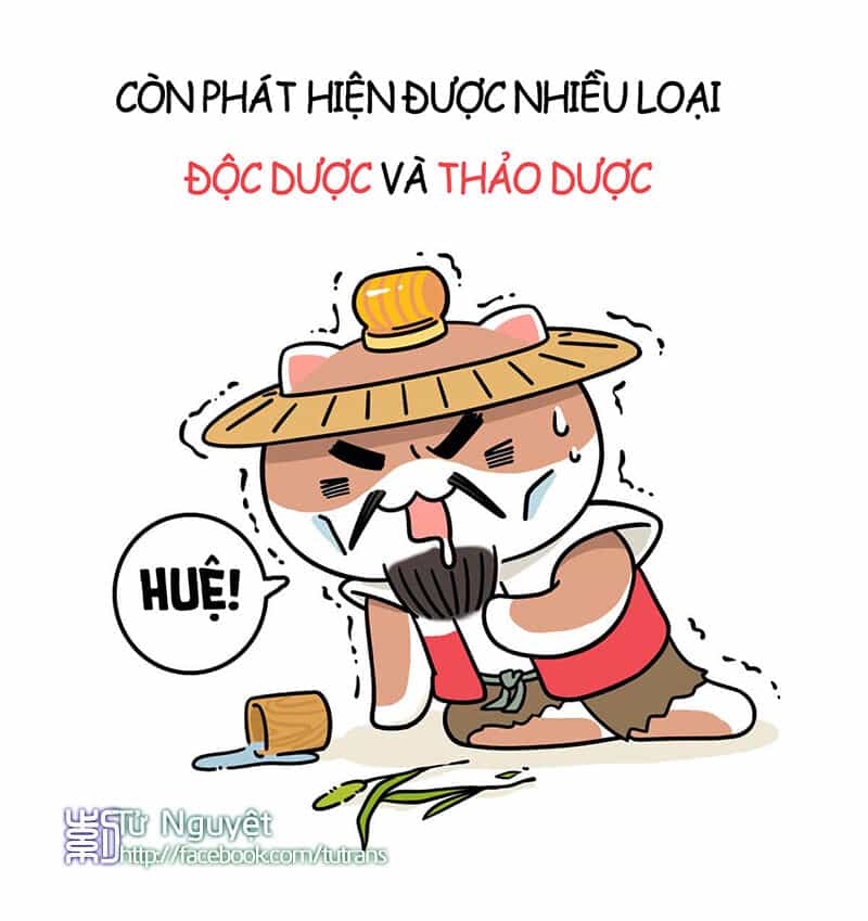 Nếu Lịch Sử Là Một Bầy Mèo - Chương 1 - ảnh 19