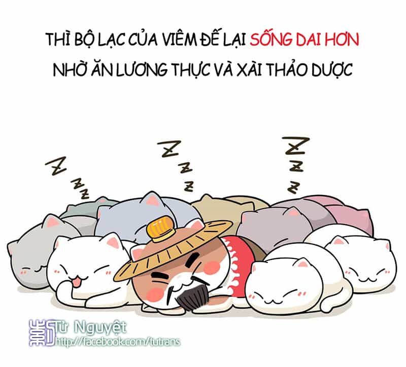 Nếu Lịch Sử Là Một Bầy Mèo - Chương 1 - ảnh 22