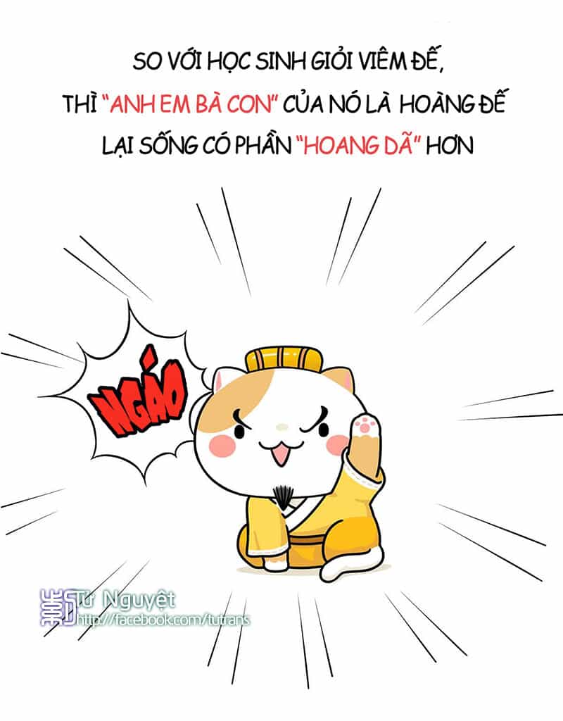 Nếu Lịch Sử Là Một Bầy Mèo - Chương 1 - ảnh 23