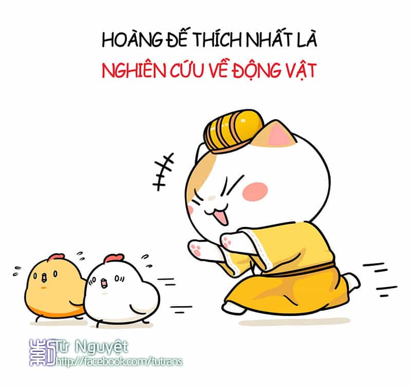 Nếu Lịch Sử Là Một Bầy Mèo - Chương 1 - ảnh 24