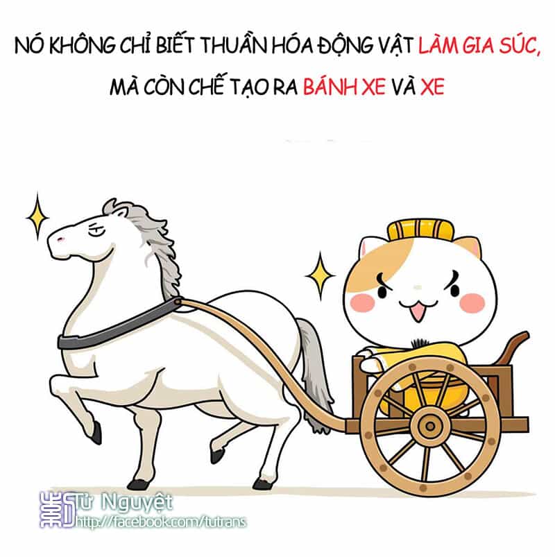 Nếu Lịch Sử Là Một Bầy Mèo - Chương 1 - ảnh 25