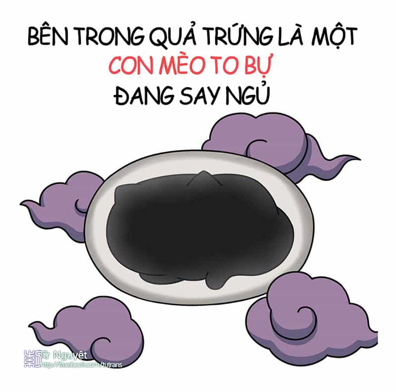 Nếu Lịch Sử Là Một Bầy Mèo - Chương 1 - ảnh 5