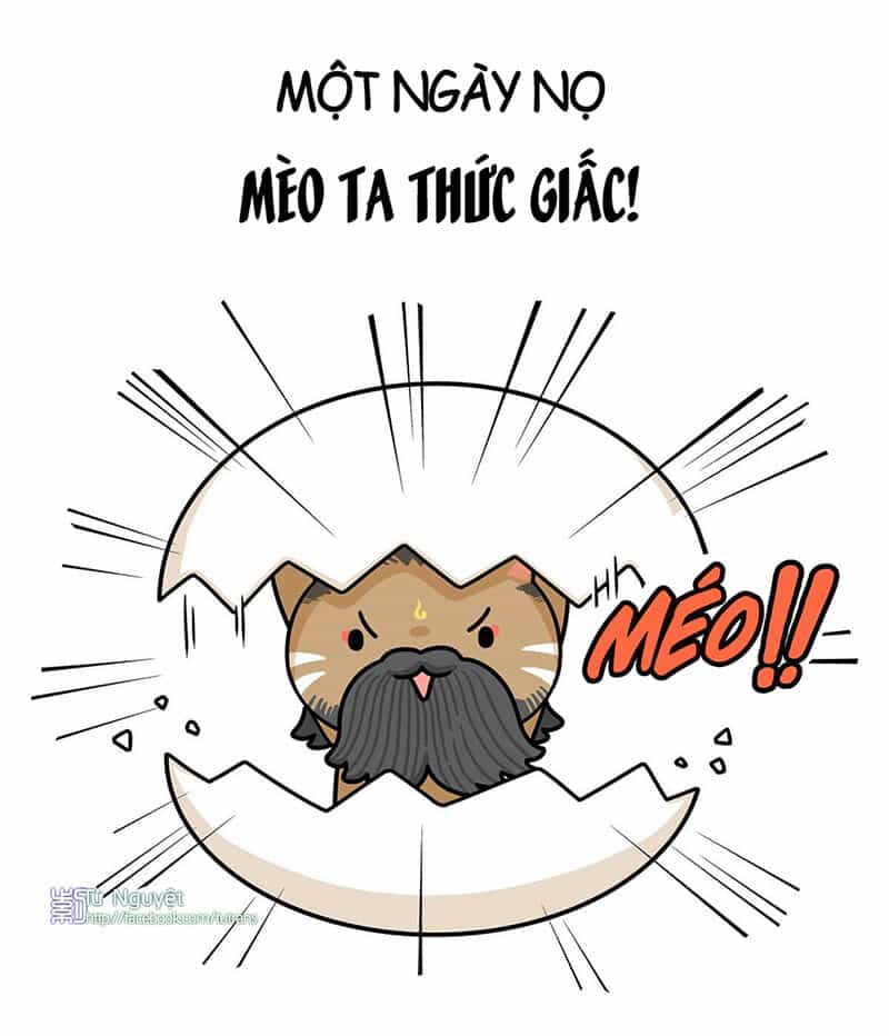Nếu Lịch Sử Là Một Bầy Mèo - Chương 1 - ảnh 6