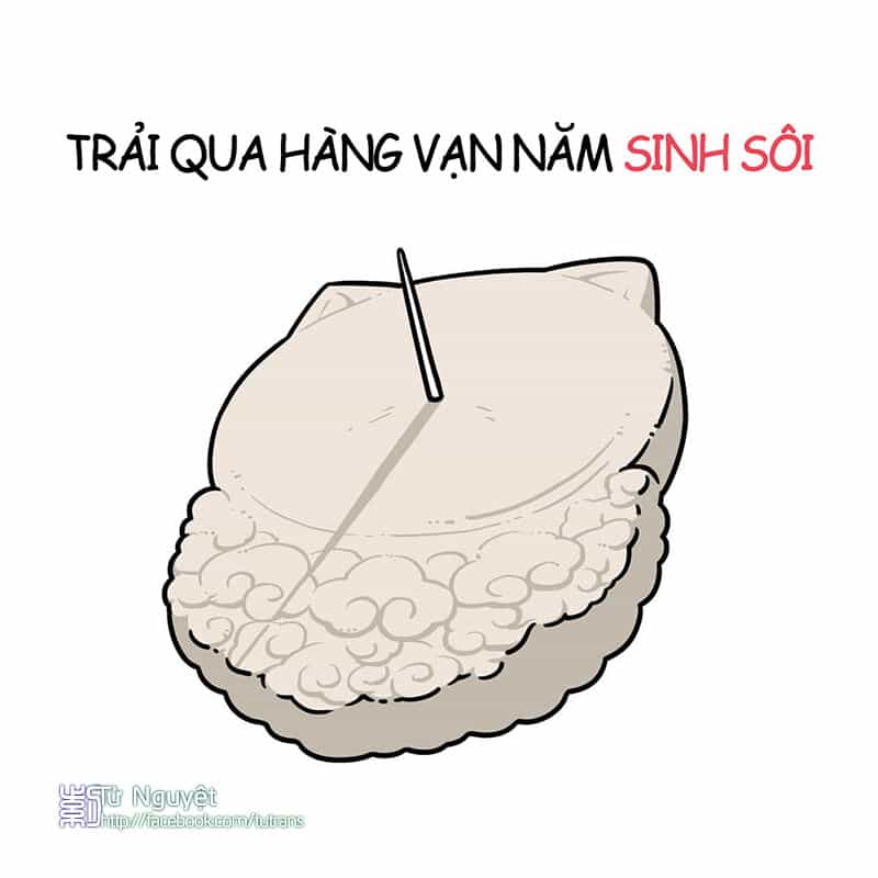 Nếu Lịch Sử Là Một Bầy Mèo - Chương 1 - ảnh 9