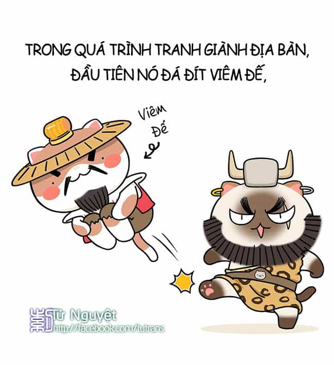 Nếu Lịch Sử Là Một Bầy Mèo - Chương 2 - ảnh 7