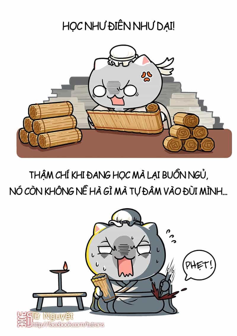 Nếu Lịch Sử Là Một Bầy Mèo - Chương 21 - ảnh 16