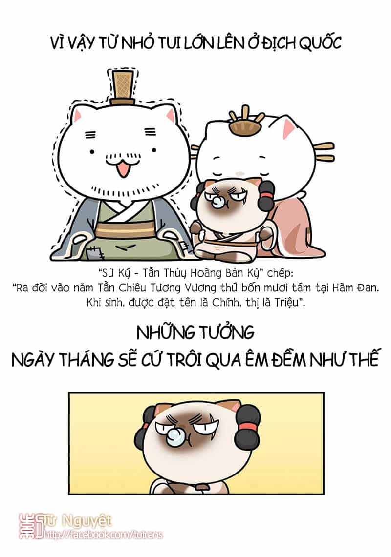 Nếu Lịch Sử Là Một Bầy Mèo - Chương 25 - ảnh 8