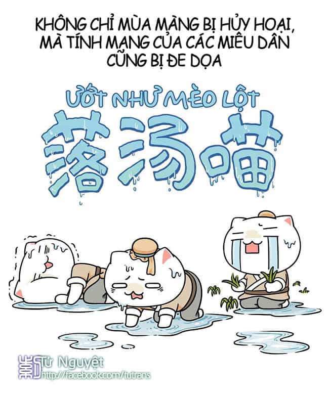 Nếu Lịch Sử Là Một Bầy Mèo - Chương 4 - ảnh 8