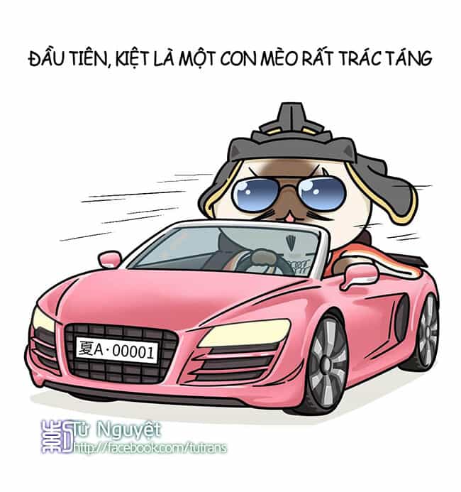 Nếu Lịch Sử Là Một Bầy Mèo - Chương 7 - ảnh 17