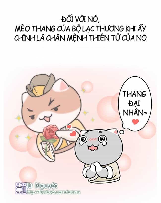 Nếu Lịch Sử Là Một Bầy Mèo - Chương 8 - ảnh 10