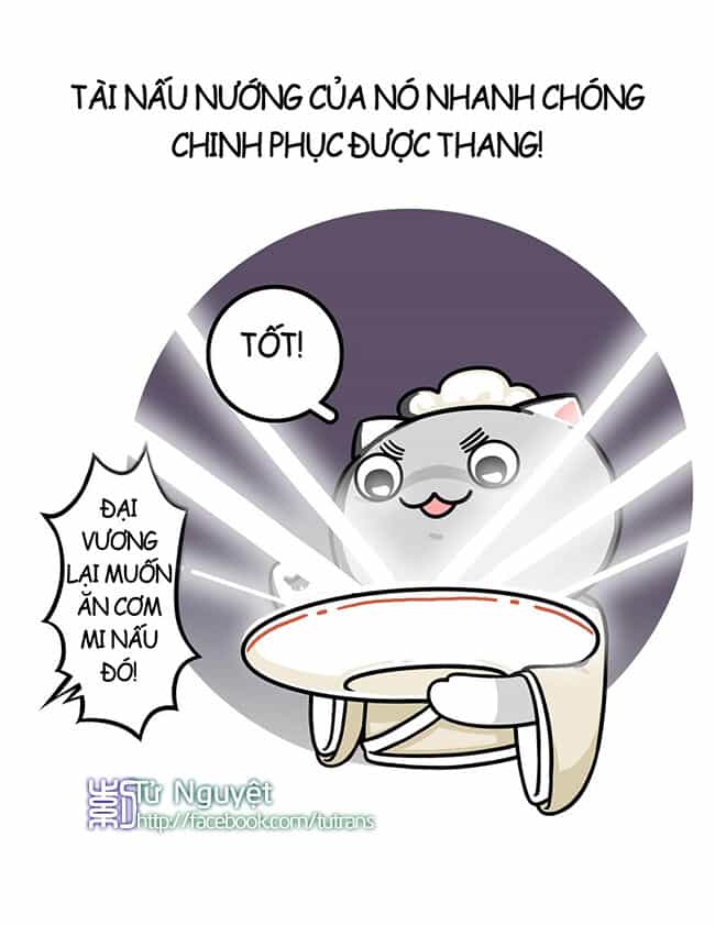 Nếu Lịch Sử Là Một Bầy Mèo - Chương 8 - ảnh 17