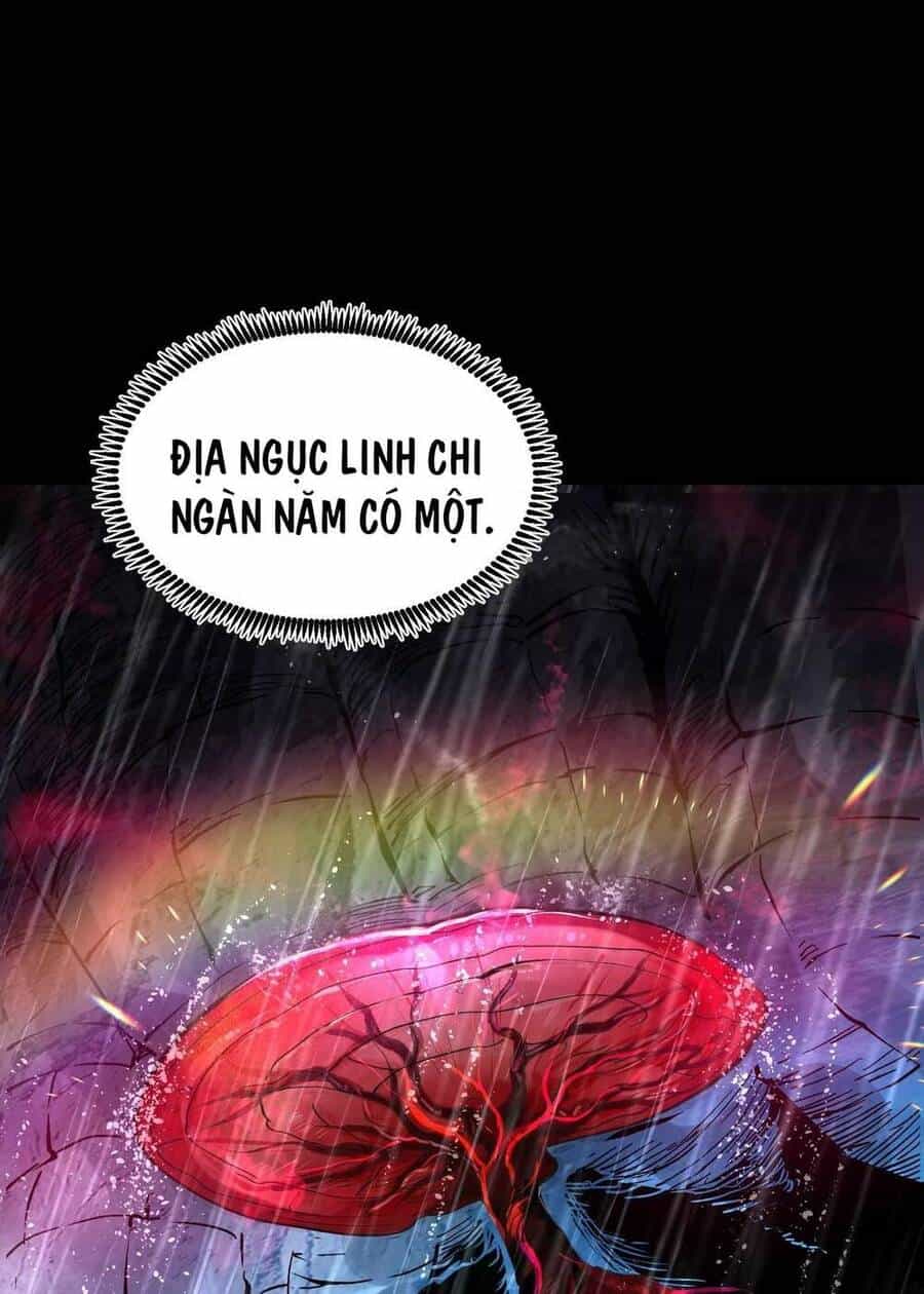 Ngạo Thế Đan Thần - Chương 2 - ảnh 15