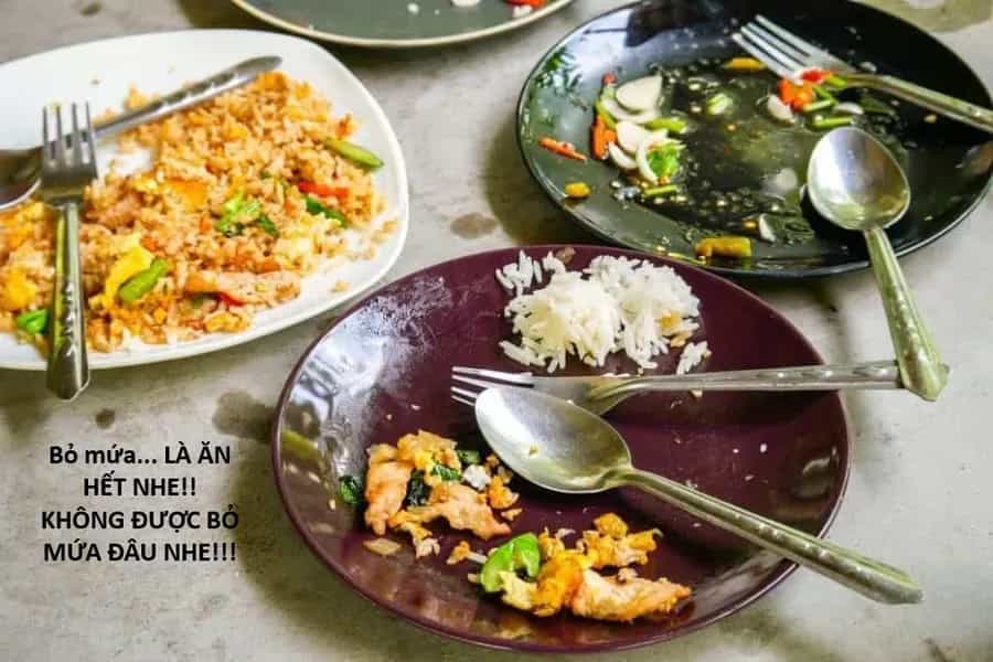 Ngay Cả Khi Hậu Tận Thế, Thật Hạnh Phúc Khi Vẫn Còn Được Sống... (Puchimasu Miếu) - Chương 51.2 - ảnh 16