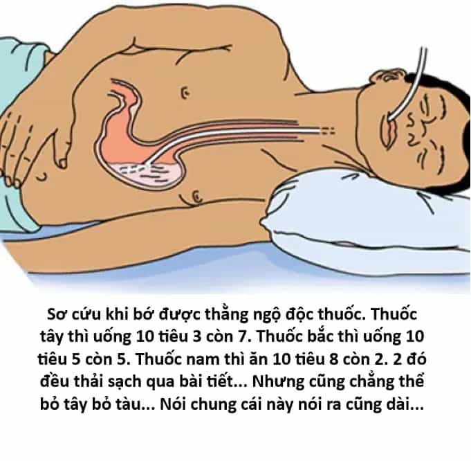 Ngay Cả Khi Hậu Tận Thế, Thật Hạnh Phúc Khi Vẫn Còn Được Sống... (Puchimasu Miếu) - Chương 55.2 - ảnh 20