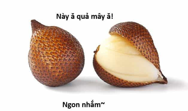 Ngay Cả Khi Hậu Tận Thế, Thật Hạnh Phúc Khi Vẫn Còn Được Sống... (Puchimasu Miếu) - Chương 44.1 - ảnh 21