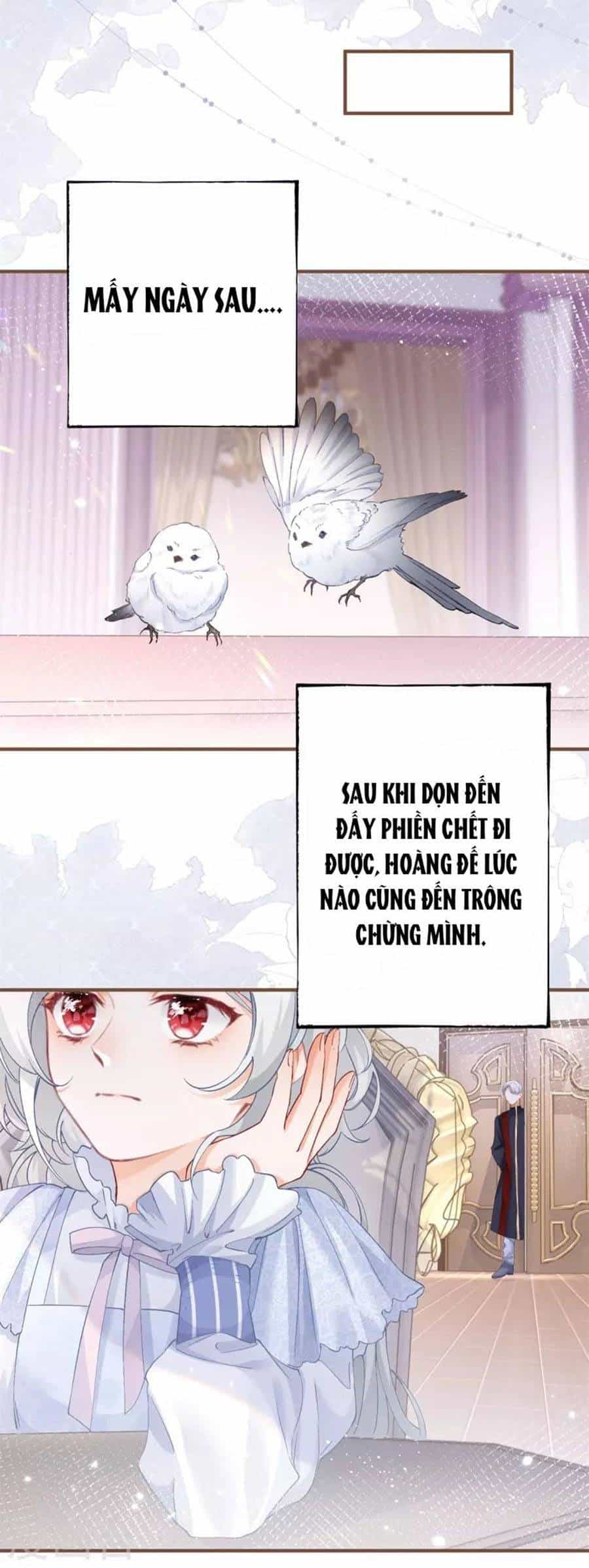 Ngày Nào Đó Trở Thành Công Chúa Tế Phẩm - Chương 34 - ảnh 9
