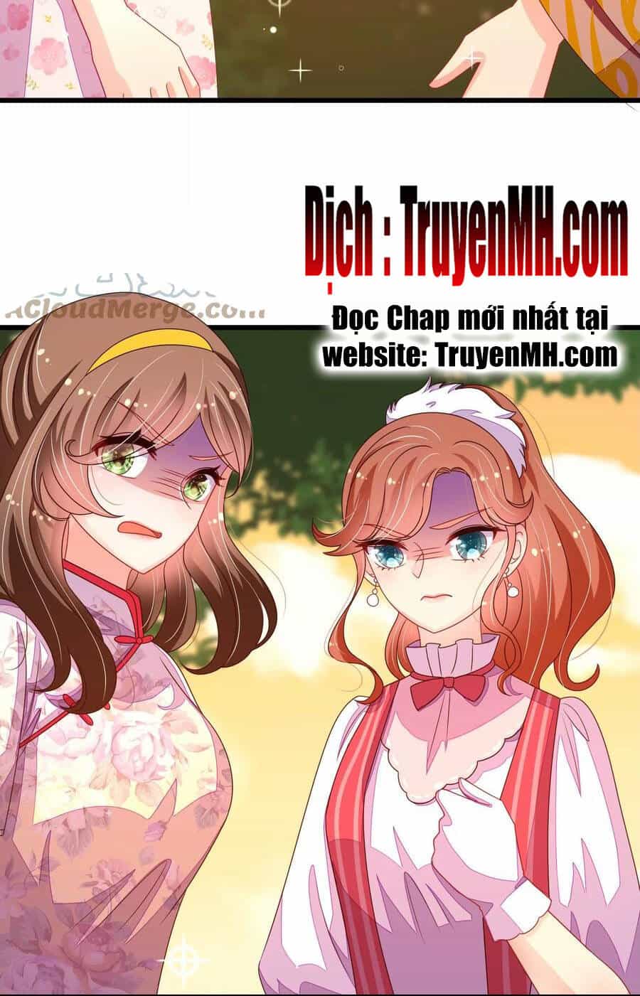 Ngày Nào Thiếu Soái Cũng Ghen - Chương 442 - ảnh 14