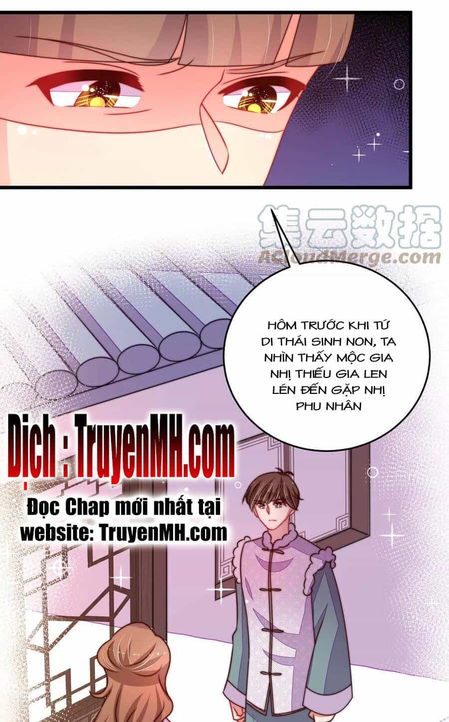 Ngày Nào Thiếu Soái Cũng Ghen - Chương 469 - ảnh 2